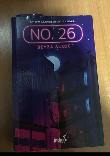 No 26 kar tanesi