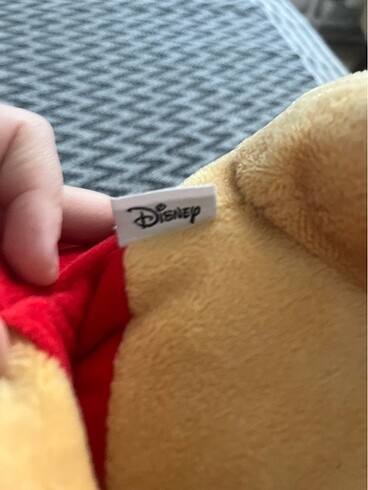 Walt Disney World Winnie the pooh disney