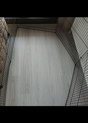 Beden Renk EVCİL HAYVAN, KÖPEK ÇİTİ