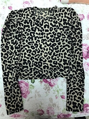 leopar kazak