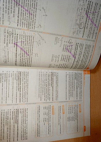 Taktiklerle Dil Bilgisi Soru Bankası TYT-KPSS - Görsel 2