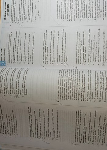 zemin hazırla öznur saat yıldırım - Görsel 6