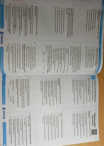 zemin hazırla öznur saat yıldırım - Görsel 4