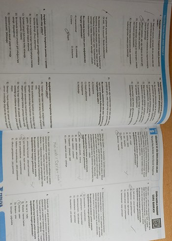 zemin hazırla öznur saat yıldırım - Görsel 3