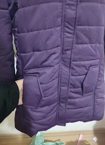 Diğer Mont kaban
