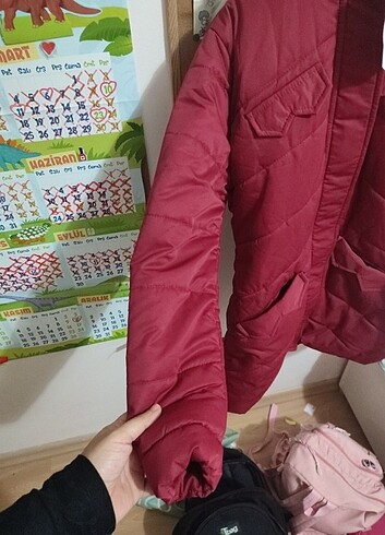 Diğer Mont kaban