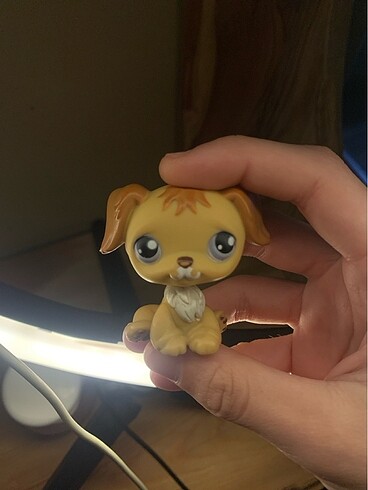 lps minis