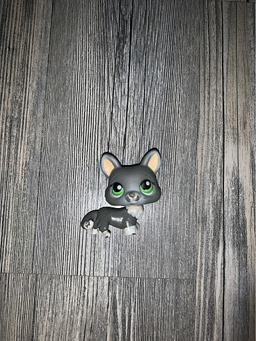 lps minis