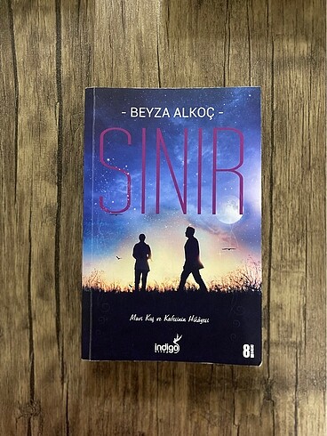 Beyza Alkoç SINIR KİTAP