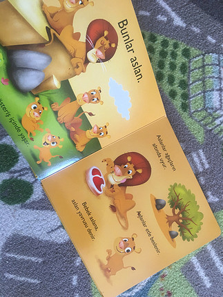 Safari sert karton çocuk kitabı