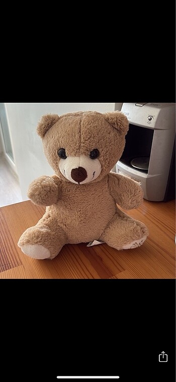 Peluş ayıcık