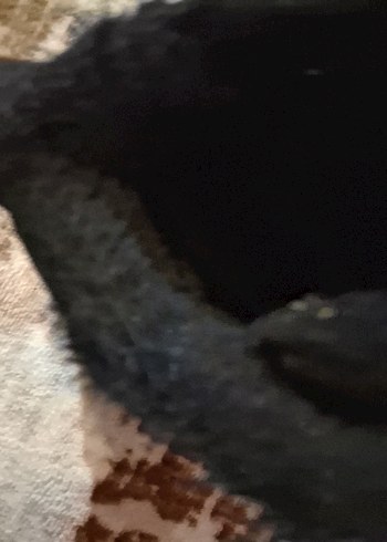 içi kürklü bot - Görsel 5