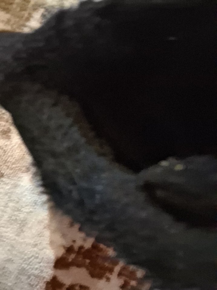 içi kürklü bot - Görsel 5