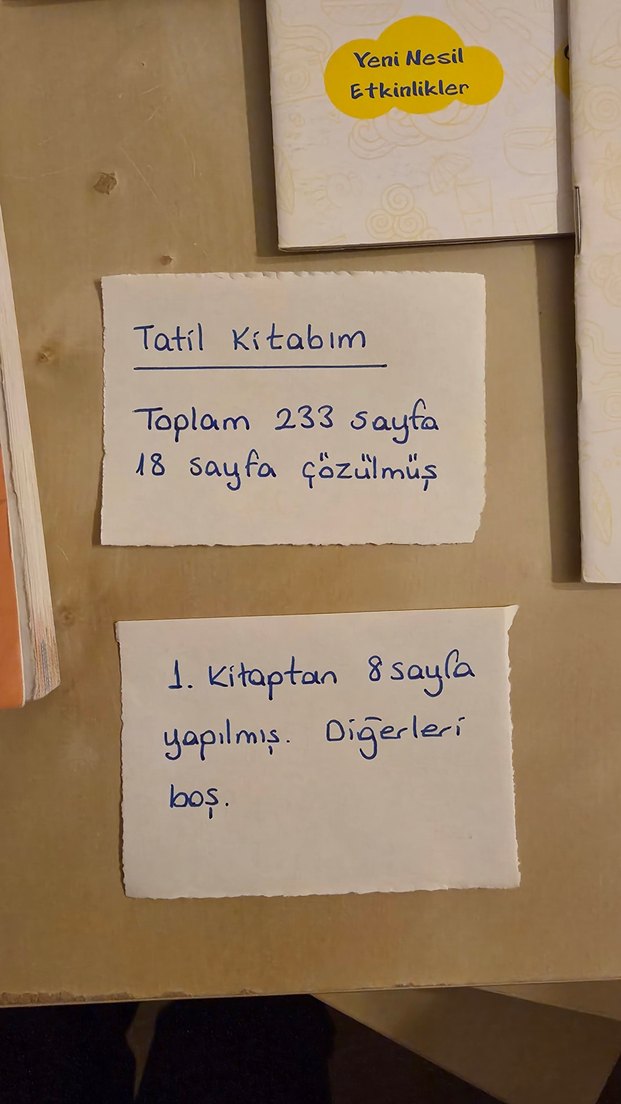 2. Sınıf Tatil Kitabı ve Tatilde Yol Arkadaşım Seti - Görsel 4