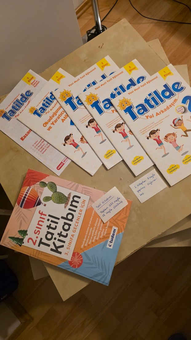 2. Sınıf Tatil Kitabı ve Tatilde Yol Arkadaşım Seti - Görsel 2