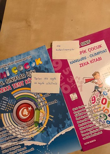 Altın Nokta Yayınevi 4. Sınıf Set (2 Kitap) - Görsel 2