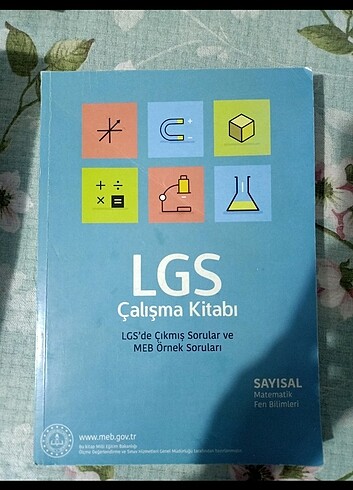 8. Sınıf lgs çalışma kitabı