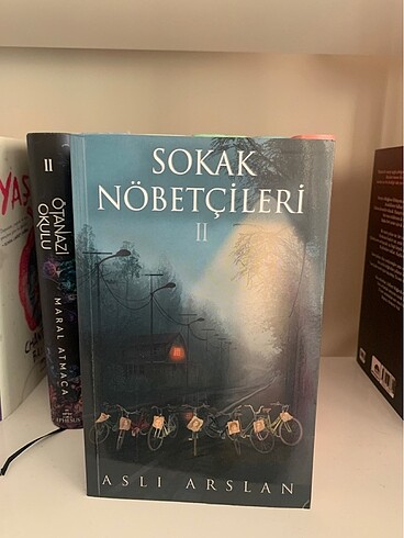 Sokak Nöbetçileri 2