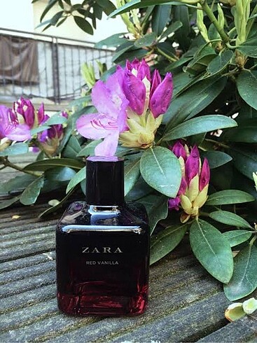 Zara Red Vanilla