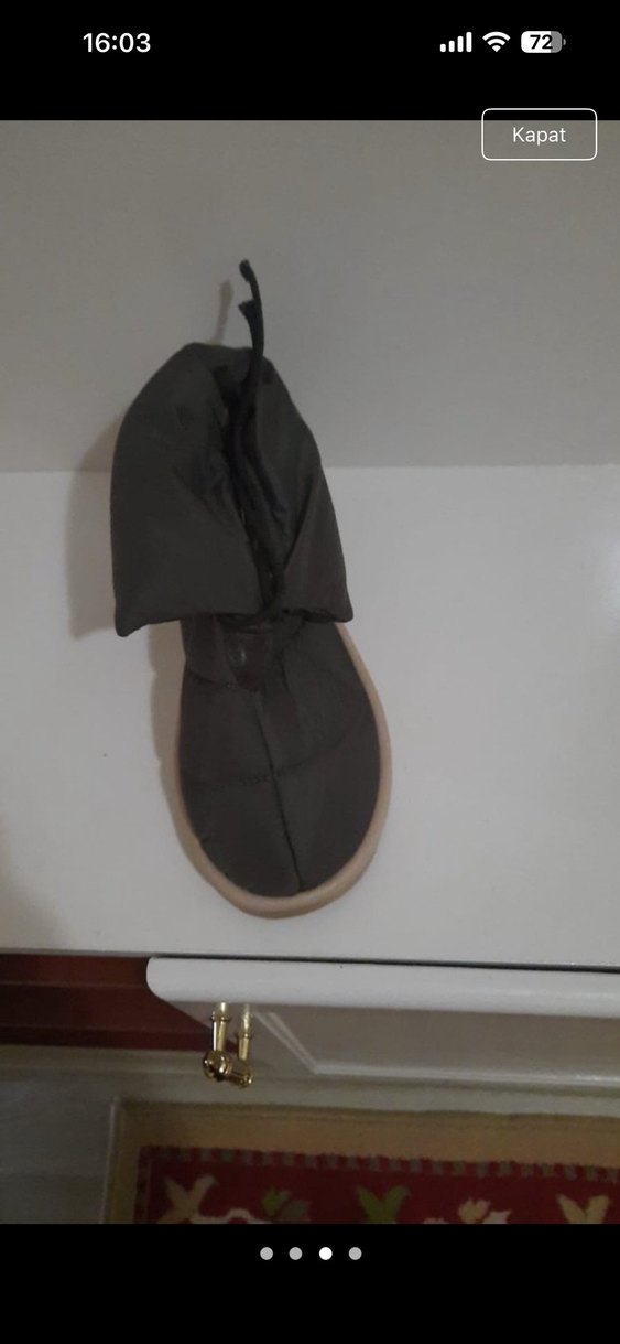 Yeşil bot - Görsel 3