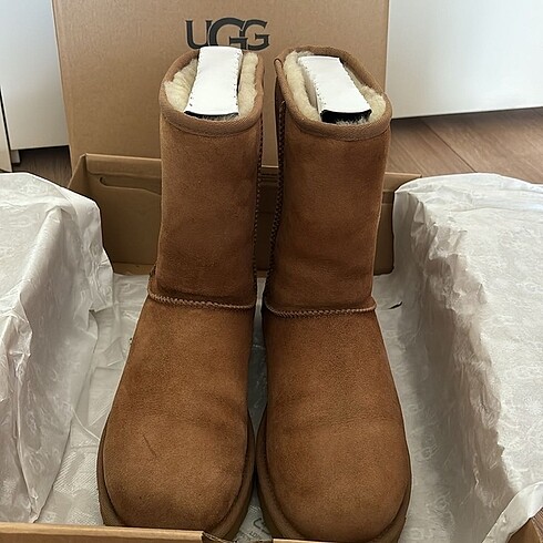 Ugg ugg classic short ll