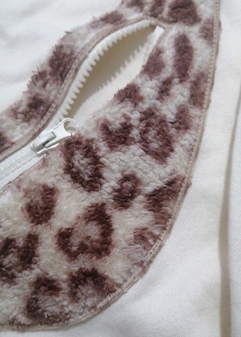 Krem rengi çok güzel hoş bir sivit - Görsel 4