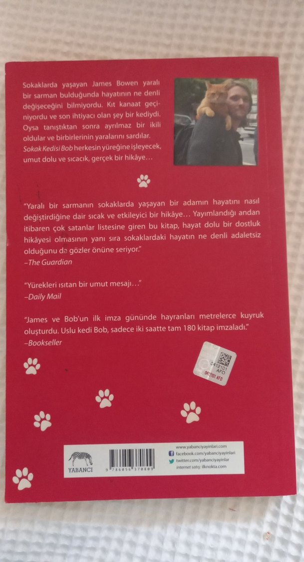 Sokak Kedisi Bob Kitabı - James Bowen - Görsel 2