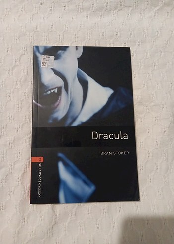 Shirley Homes ve Siber Hırsız - Görsel 2