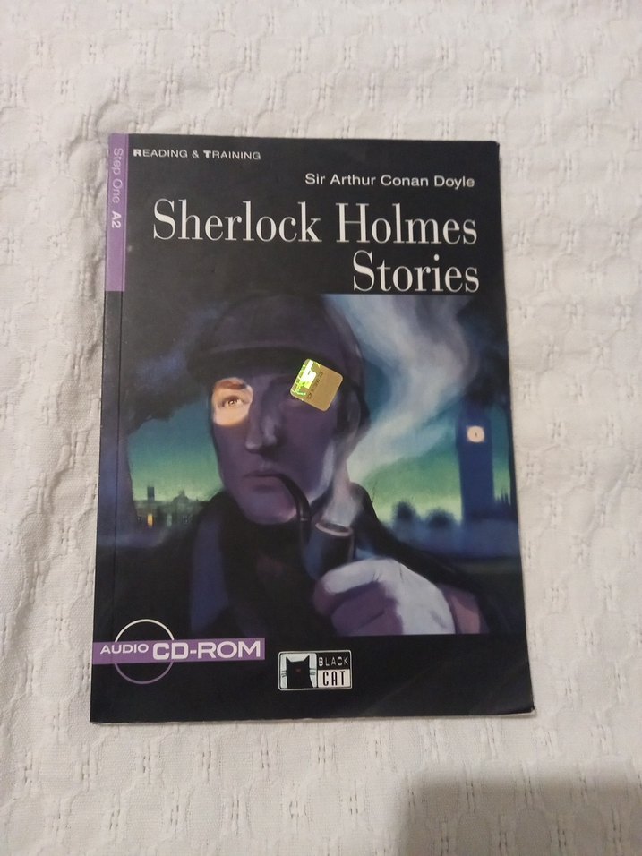 Shirley Homes ve Siber Hırsız - Görsel 3