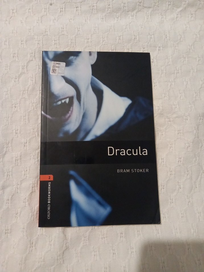 Shirley Homes ve Siber Hırsız - Görsel 2