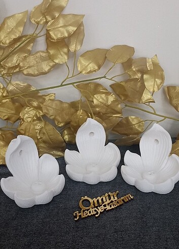 Lotus tütsülük - Görsel 5