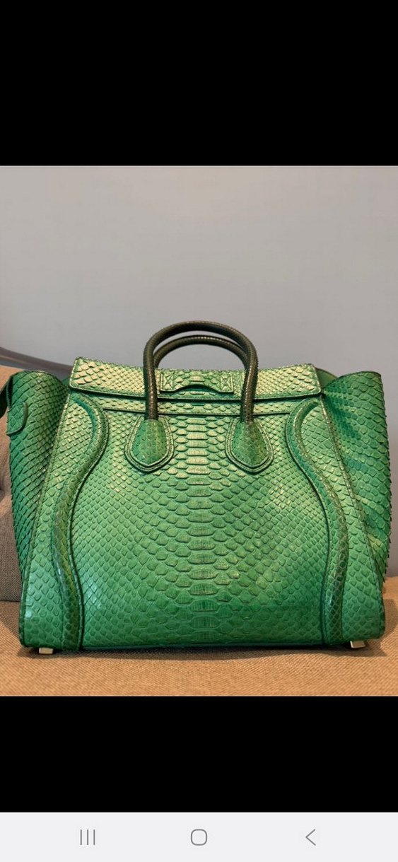 Celine Grass Green Python Tote Bag - Görsel 2
