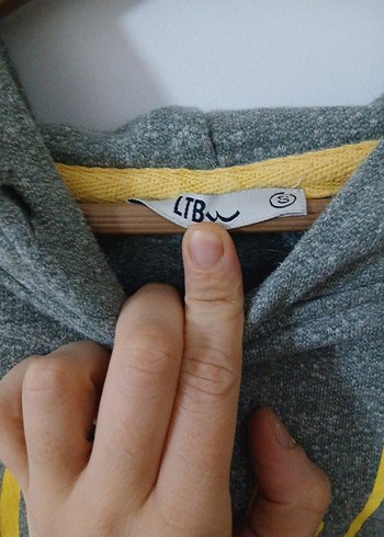 Gri Kapüşonlu Kadın Sweatshirt - Görsel 3