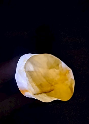 Işık geçirgen Taş - Görsel 3