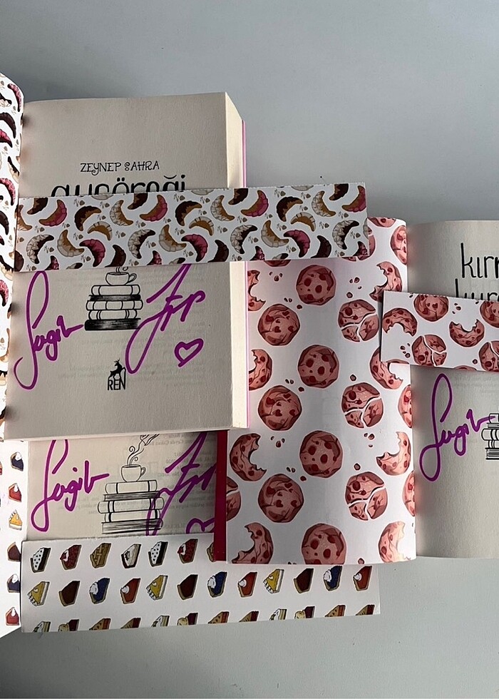 Ayçöreği serisi - Görsel 3