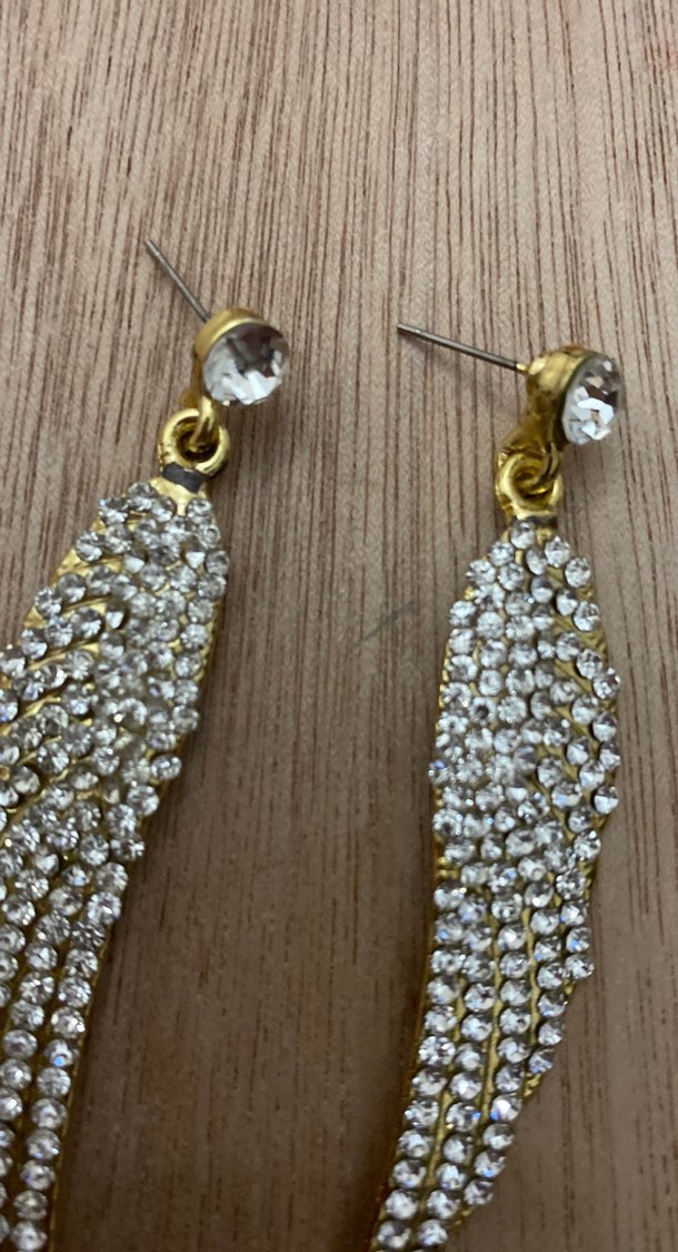 Uzun Pullu Altın Kanat Küpe - Görsel 4