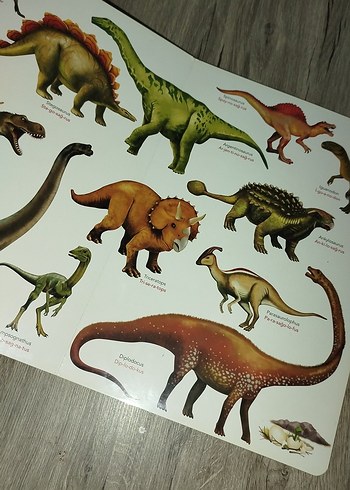 Benim İlk Dinozorlar Kitabım - Görsel 3