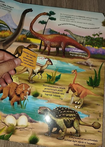 Benim İlk Dinozorlar Kitabım - Görsel 2