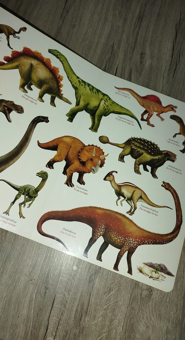 Benim İlk Dinozorlar Kitabım - Görsel 3