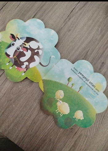 Çocuklar için Nesil yayınları acaba nasıl serisi Kitap Seti - Görsel 4