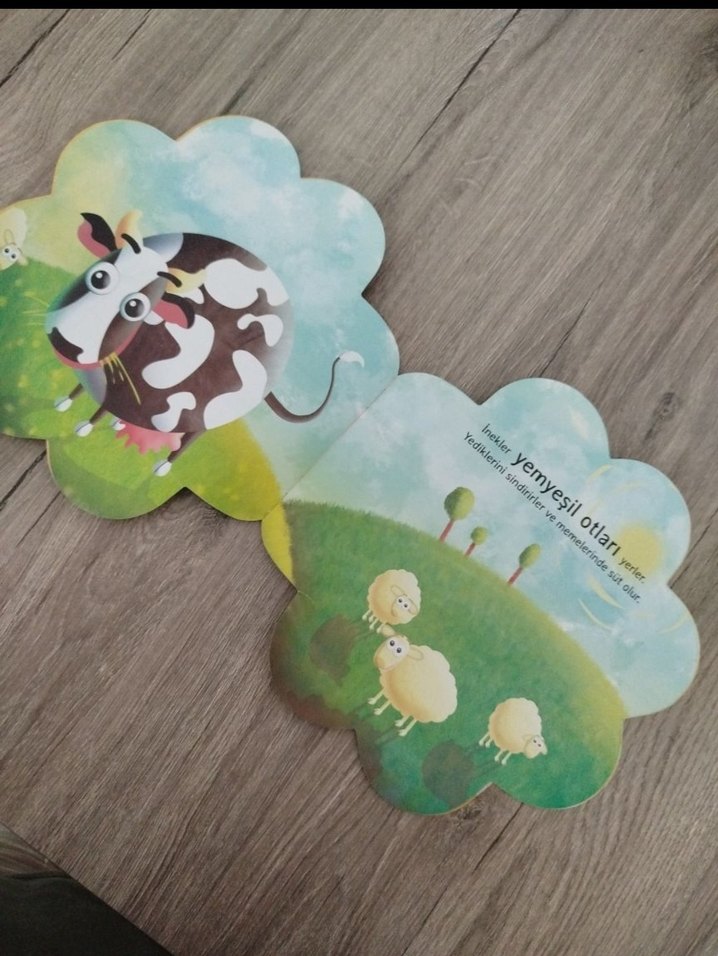 Çocuklar için Nesil yayınları acaba nasıl serisi Kitap Seti - Görsel 4