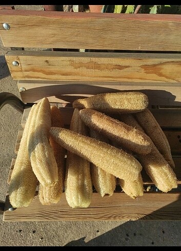 Doğal kabak lifi  - Görsel 2