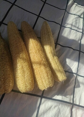 Doğal kabak lifi  - Görsel 4