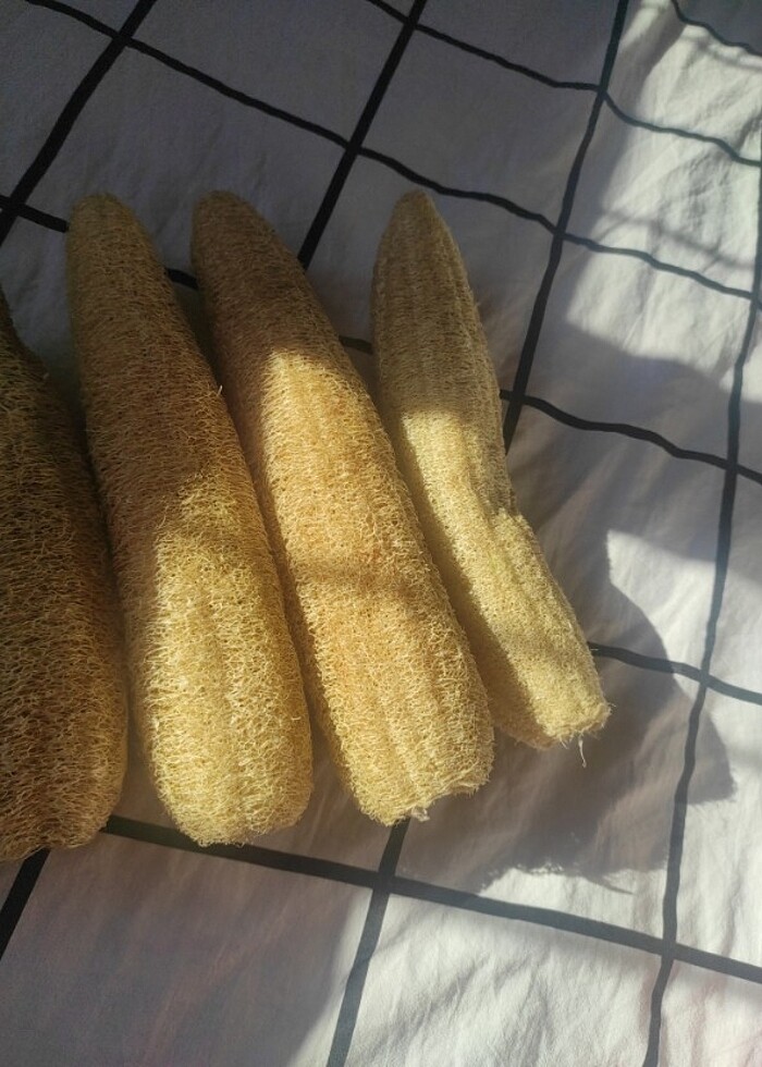 Doğal kabak lifi  - Görsel 4