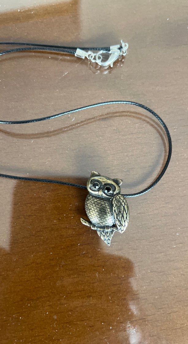 Bronz bohem tarzda Baykuş Detaylı deri kordonlu Kolye - Görsel 2