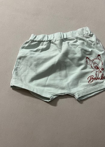 Walt Disney World 24-36 Ay