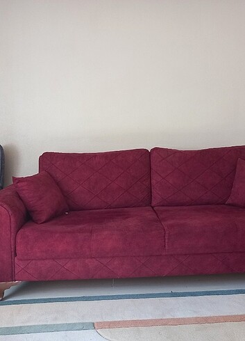 3 kisilik 2 adet kanepe - Görsel 2