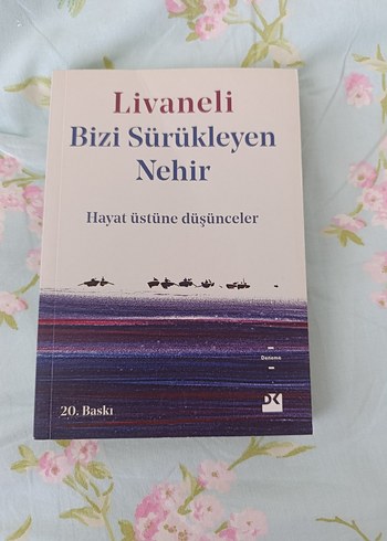 Bizi Sürükleyen Nehir - Zülfü Livaneli