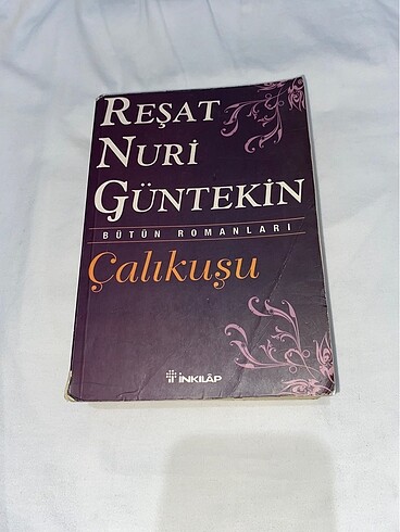 Çalıkuşu kitap