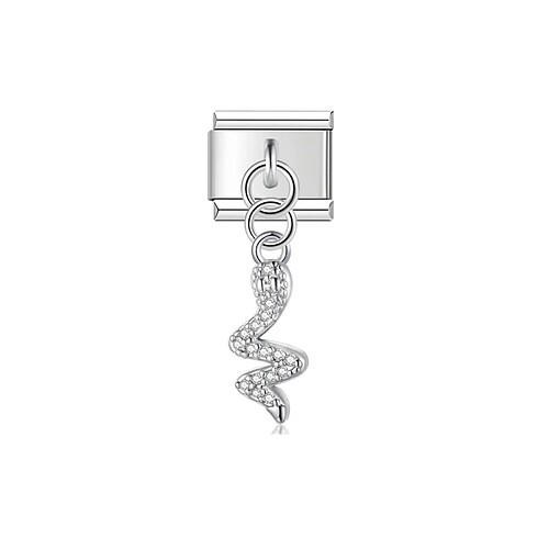Yılan Charm